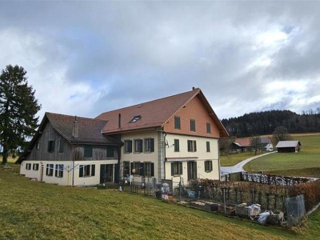 Altes Bauernhaus mit 2 Wohnungen und einem grossen Lager