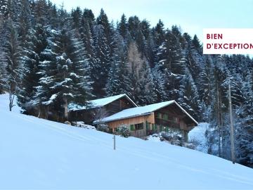 Altes Bauernhaus aus dem 18. Jahrhundert zur Renovierung