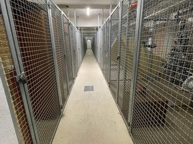 Altersgerechtes Wohnen mit Fahrstuhl und Balkon im Herzen von Schwarzenberg