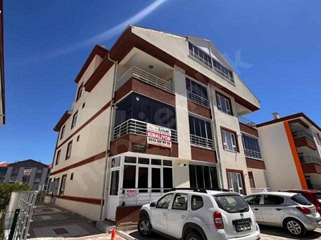 ALTINEMLAK GLOBAL BEYPAZARI TEMSİLCİLİĞİ