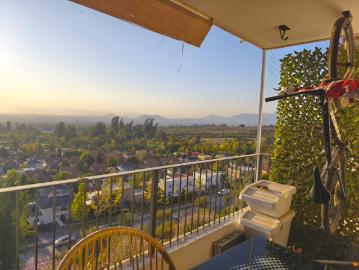 ALTO MACUL