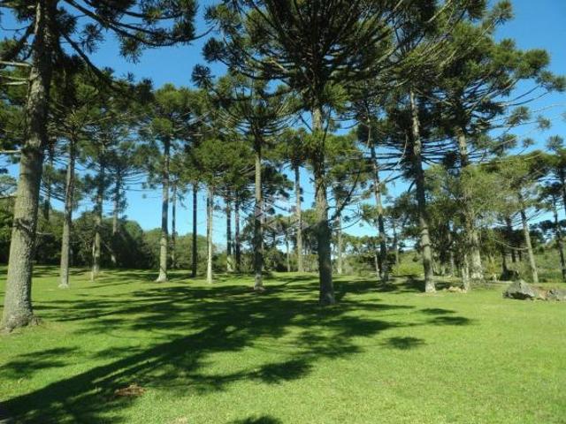 Alto padrão no Vale dos Vinhedos