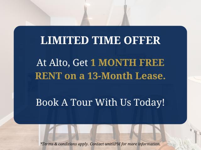 Alto Studio Apartment for Rent