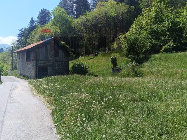 Altro in vendita a Bormida