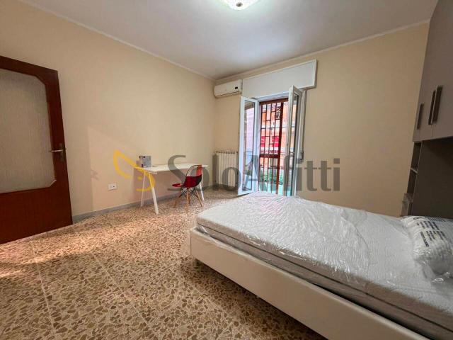Altro in affitto a Caserta, case in affitto Caserta