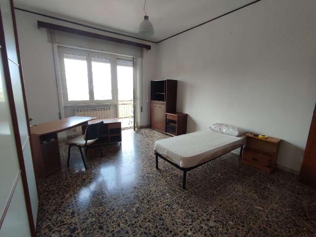 Altro in affitto a Frosinone, case in affitto Frosinone