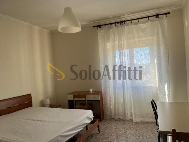 Altro in affitto a Frosinone, case in affitto Frosinone