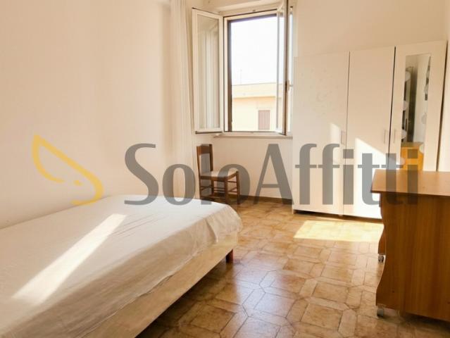 Altro in affitto a Medolla, case in affitto Medolla