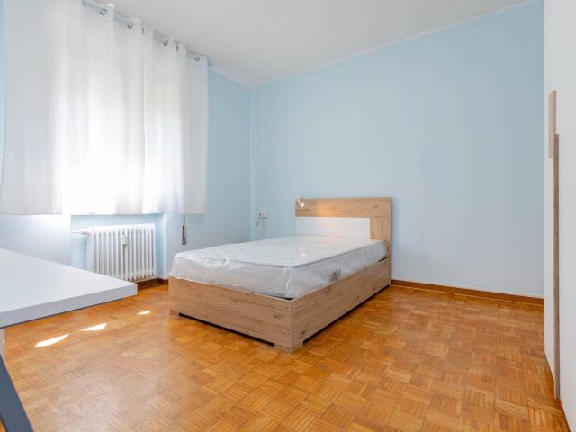 Altro in affitto a Padova, case in affitto Padova