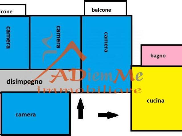 Altro in affitto a Pisa, case in affitto Pisa