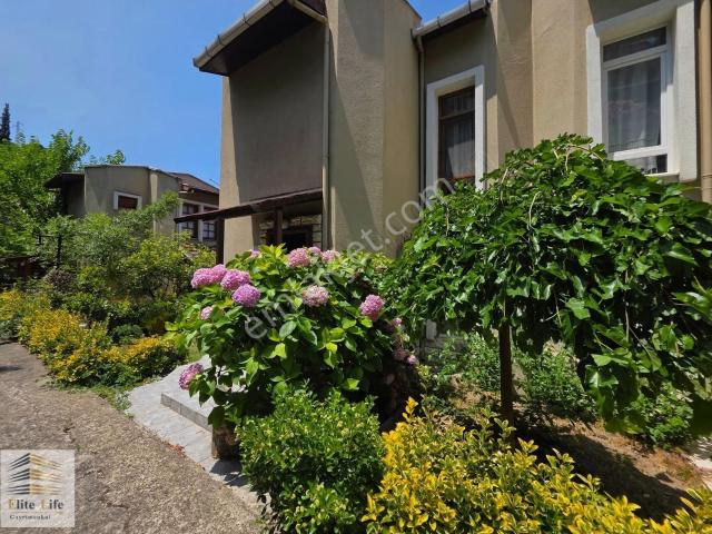 Çam Ağaçları Arasında Lüks Villa Denize Sıfır Orman Manzaralı