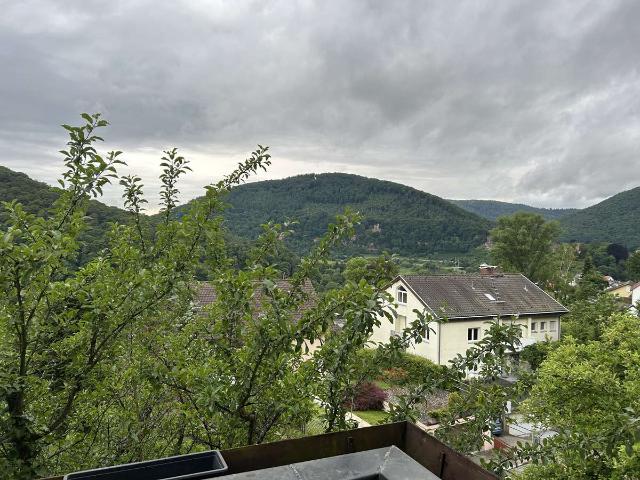 Am Bischofswald 28, 69239 Neckarsteinach