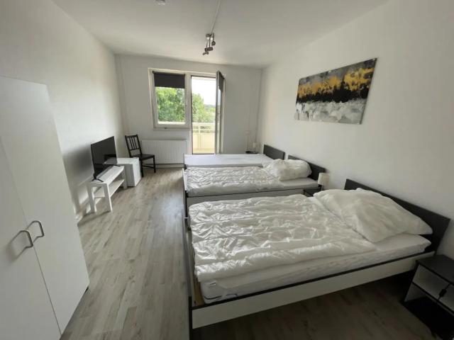 Am Ring Apartment Böhlen