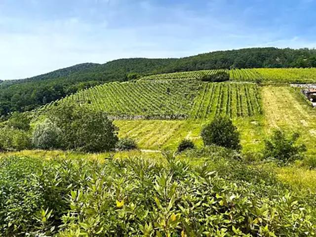 Ammerschwihr 68770 Programme neuf maison neuf à vendre 4 pièces