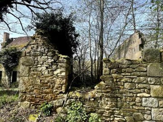 Amoureux de la nature et du patrimoine