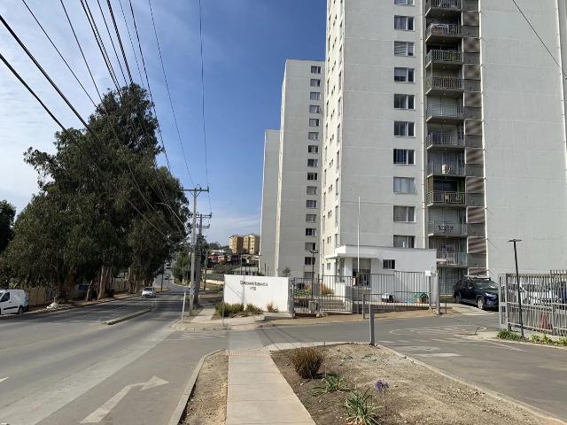 Amoblado opc frente outlet reñaca a, 5 min mall sta. julia