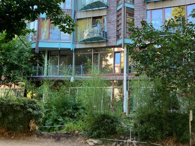 Amazing & neat studio in Wilmersdorf