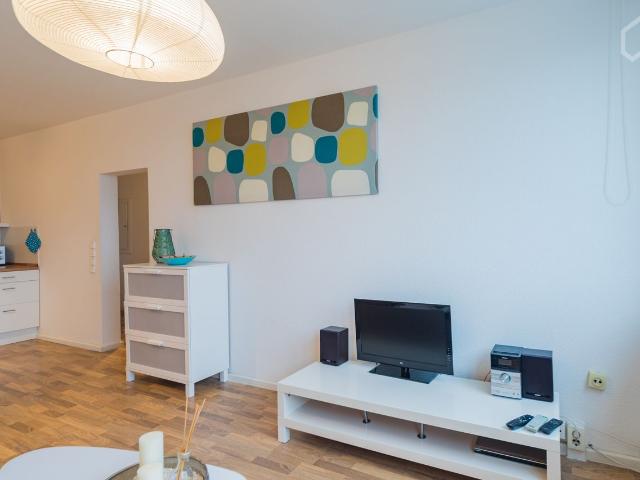 Amazing and wonderful studio in Mitte Berlin, Berlin Amsterdam Apartments for Rent