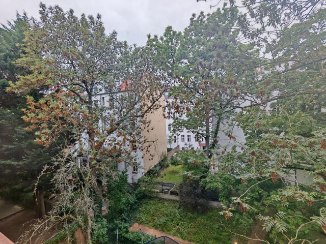Amazing and lovely suite in Friedenau