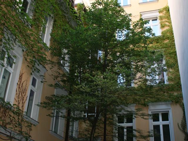 Amazing apartment in the heart of Berlin, Berlin Amsterdam Apartments for Rent