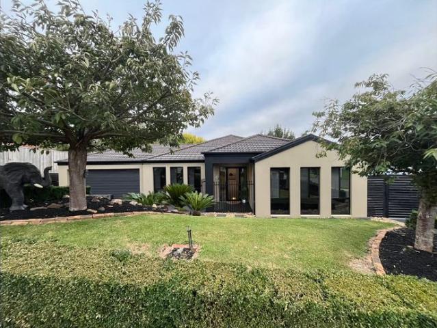 Amazing family home on large block