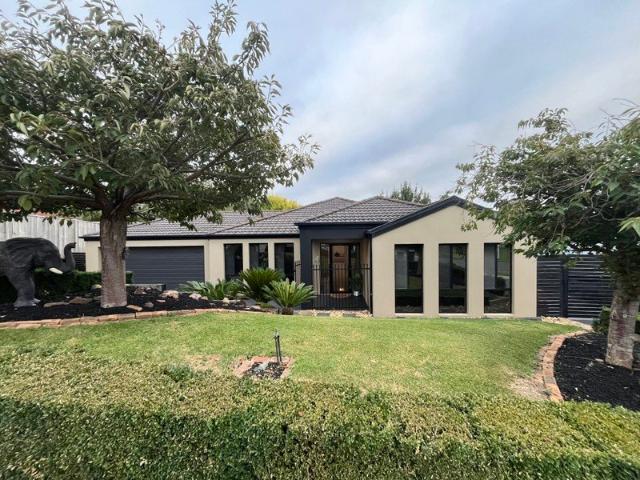 Amazing family home on large block