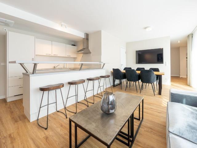 Amazing large penthouse with a terrace in the center of Potsdam, Potsdam Amsterdam Apartments for Rent