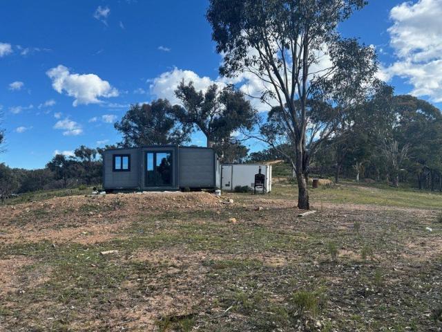 Amazing lifestyle block for all the family