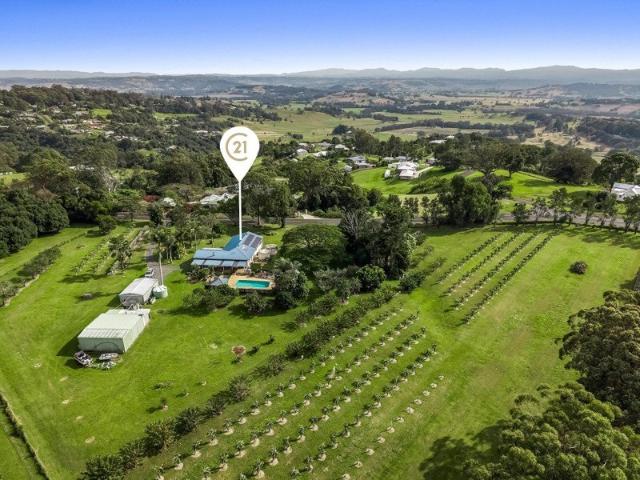 Amazing Lifestyle Opportunity!