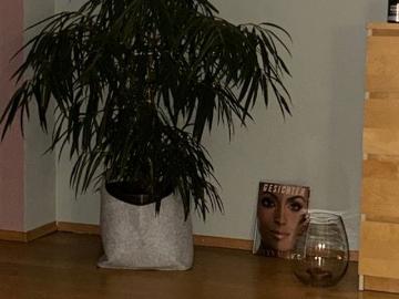 Planegg, Oberbayern, Bayern - Garten, Büroraum