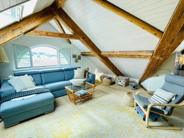 Amazing loft in Ruswil, Ruswil Amsterdam Apartments for Rent