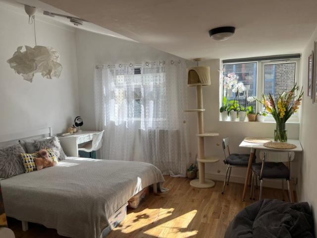 Amazing Studio Flat Near Haggerston Station