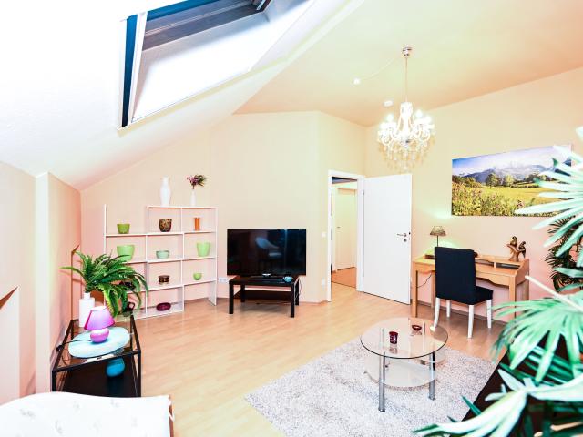 Amazing studio in Bonn
