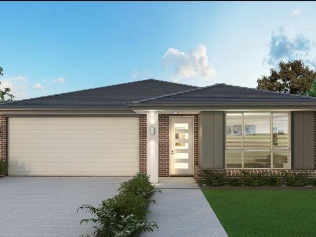 Amazing Single Storey House in Woongarrah Anticipated Registration March 2026