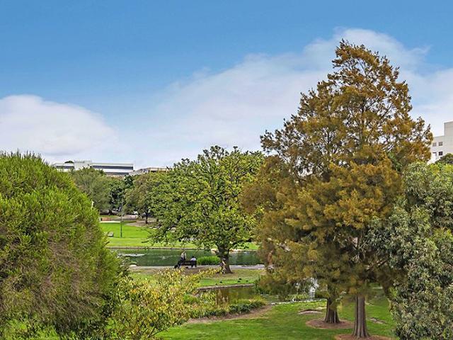 Amazing views, affordable price!