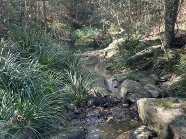 AMAZING 9 ACRES TRANQUIL SETTING