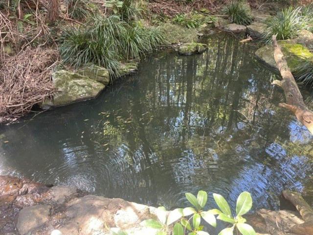 AMAZING 9 ACRES TRANQUIL SETTING