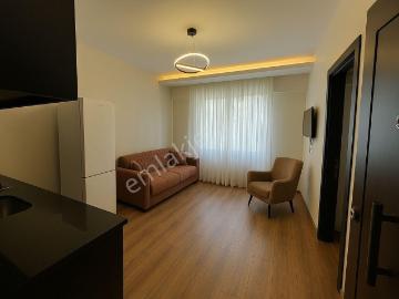 Maarif Mahallesi, Suluova, Amasya ili, Karadeniz Bölgesi