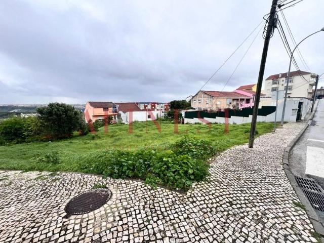Amadora Amadora 2650 413 104692852