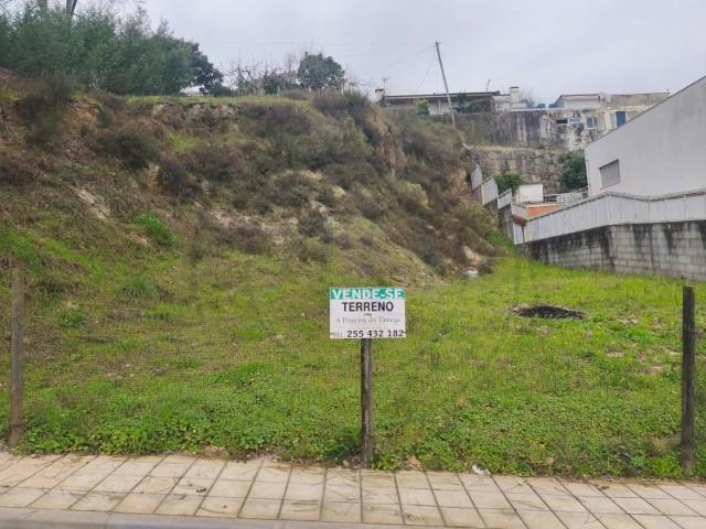 Amarante Amarante 99311284