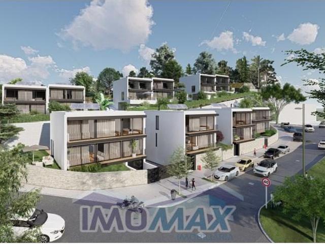Amarante Amarante 102924845