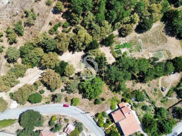 Amarante Porto 94668645