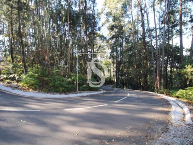 Amarante Porto 94668648
