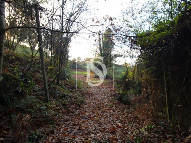 Amarante Porto 94668649