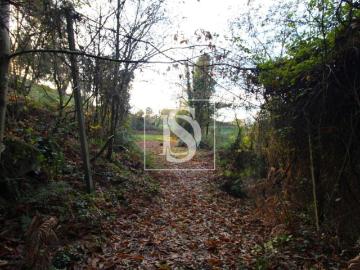 Amarante Porto 94668649