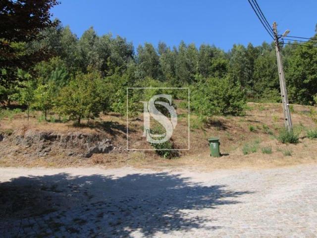 Amarante Porto 94668611