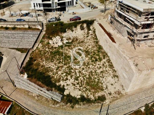 Amarante Porto 94668612