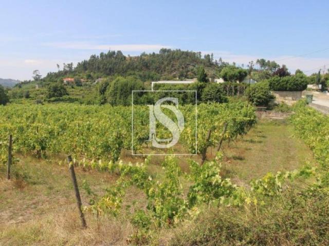 Amarante Porto 94668703