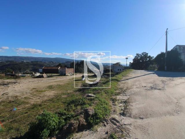 Amarante Porto 94668702