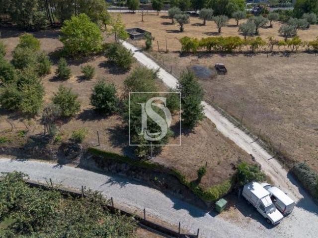 Amarante Porto 94668708